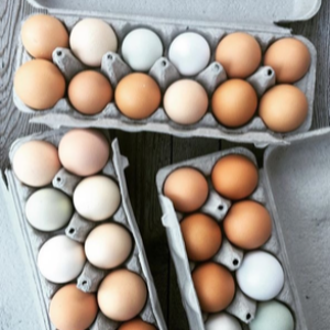 Farm Fresh Eggs