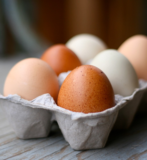 Farm Fresh Eggs