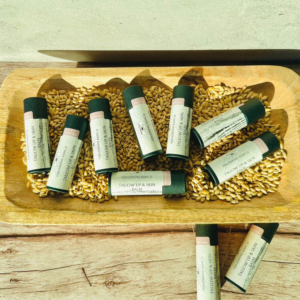 Tallow Lip and Skin Balm