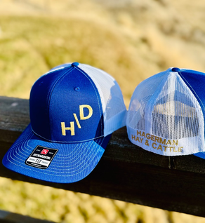 H\D Trucker Hat